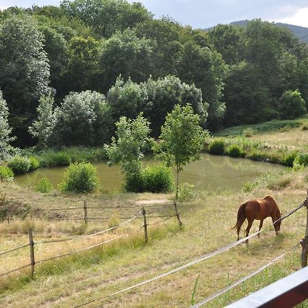 La Bergerie Bed & Breakfast Pollionnay Bagian luar foto