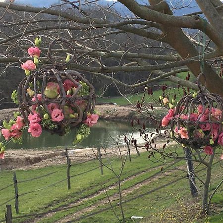 La Bergerie Bed & Breakfast Pollionnay Bagian luar foto