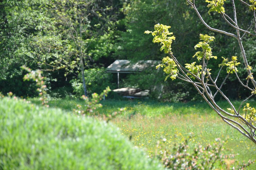La Bergerie Bed & Breakfast Pollionnay Bagian luar foto