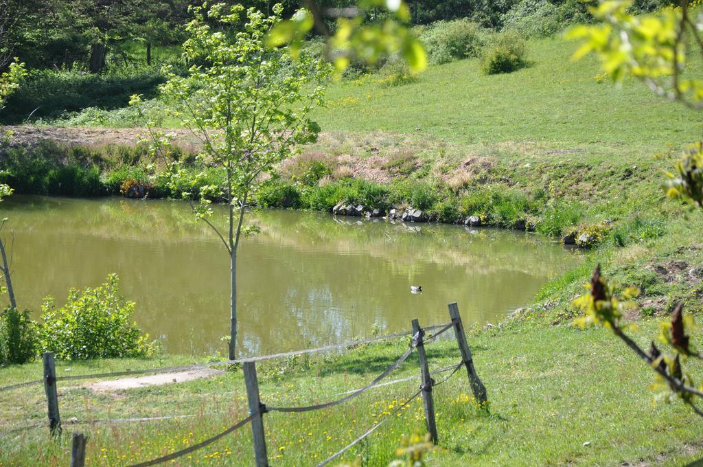 La Bergerie Bed & Breakfast Pollionnay Bagian luar foto