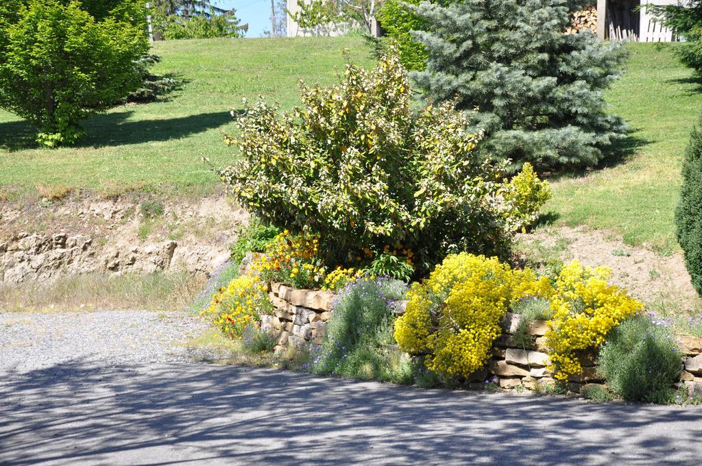 La Bergerie Bed & Breakfast Pollionnay Bagian luar foto