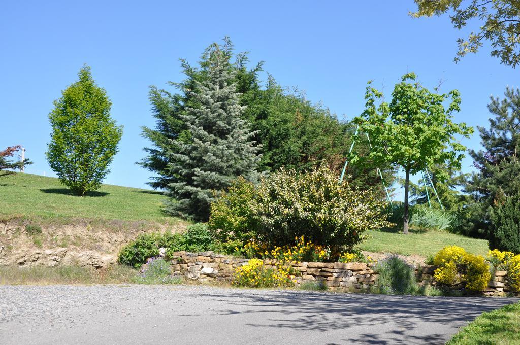 La Bergerie Bed & Breakfast Pollionnay Bagian luar foto