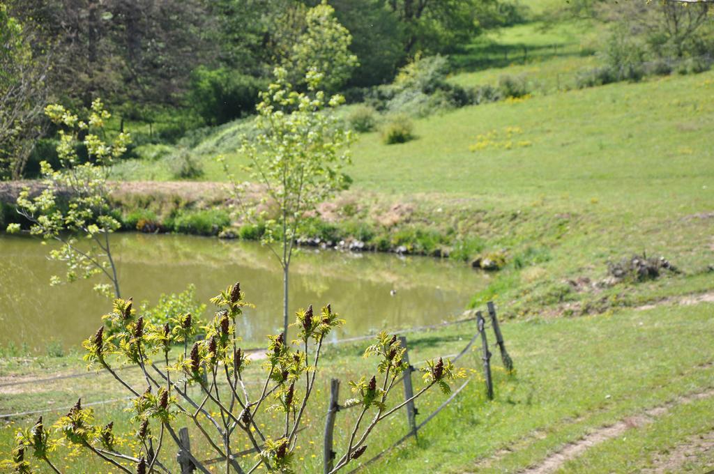 La Bergerie Bed & Breakfast Pollionnay Bagian luar foto