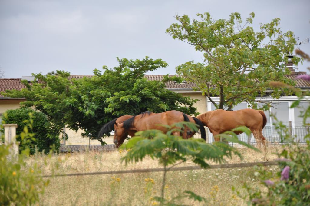 La Bergerie Bed & Breakfast Pollionnay Bagian luar foto