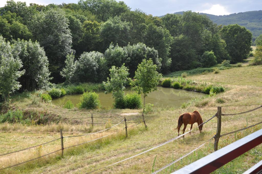 La Bergerie Bed & Breakfast Pollionnay Bagian luar foto