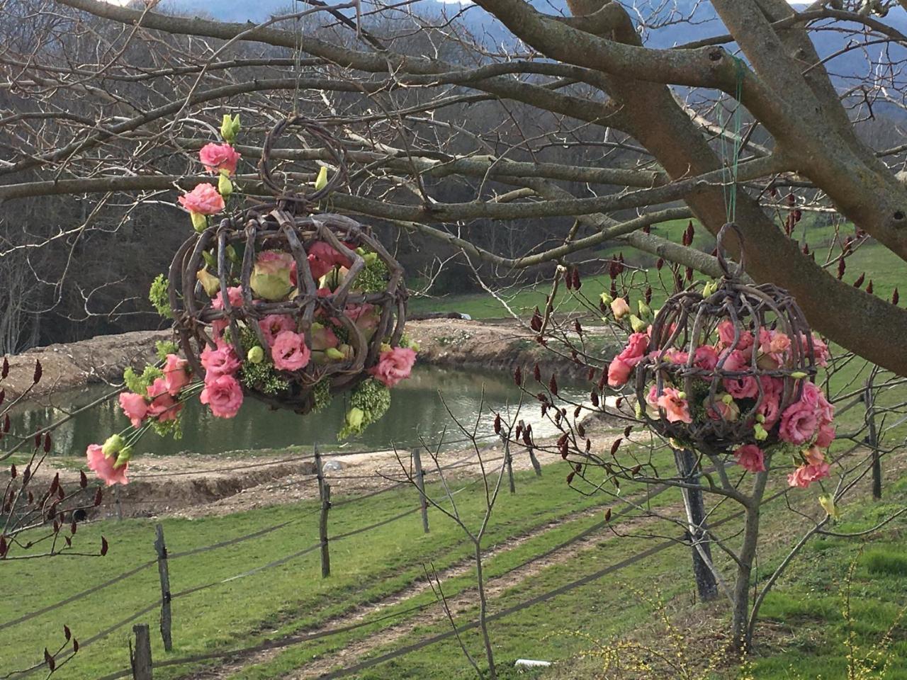 La Bergerie Bed & Breakfast Pollionnay Bagian luar foto